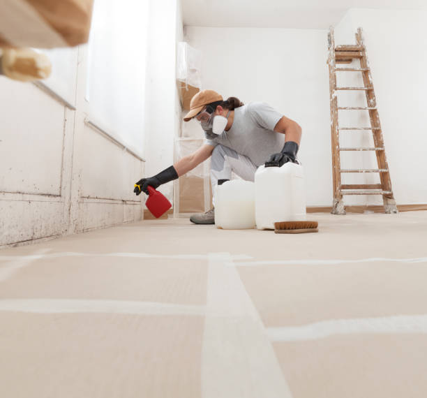 Professional Mold Removal in Charleston, AR